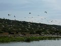 378 376 P1130660